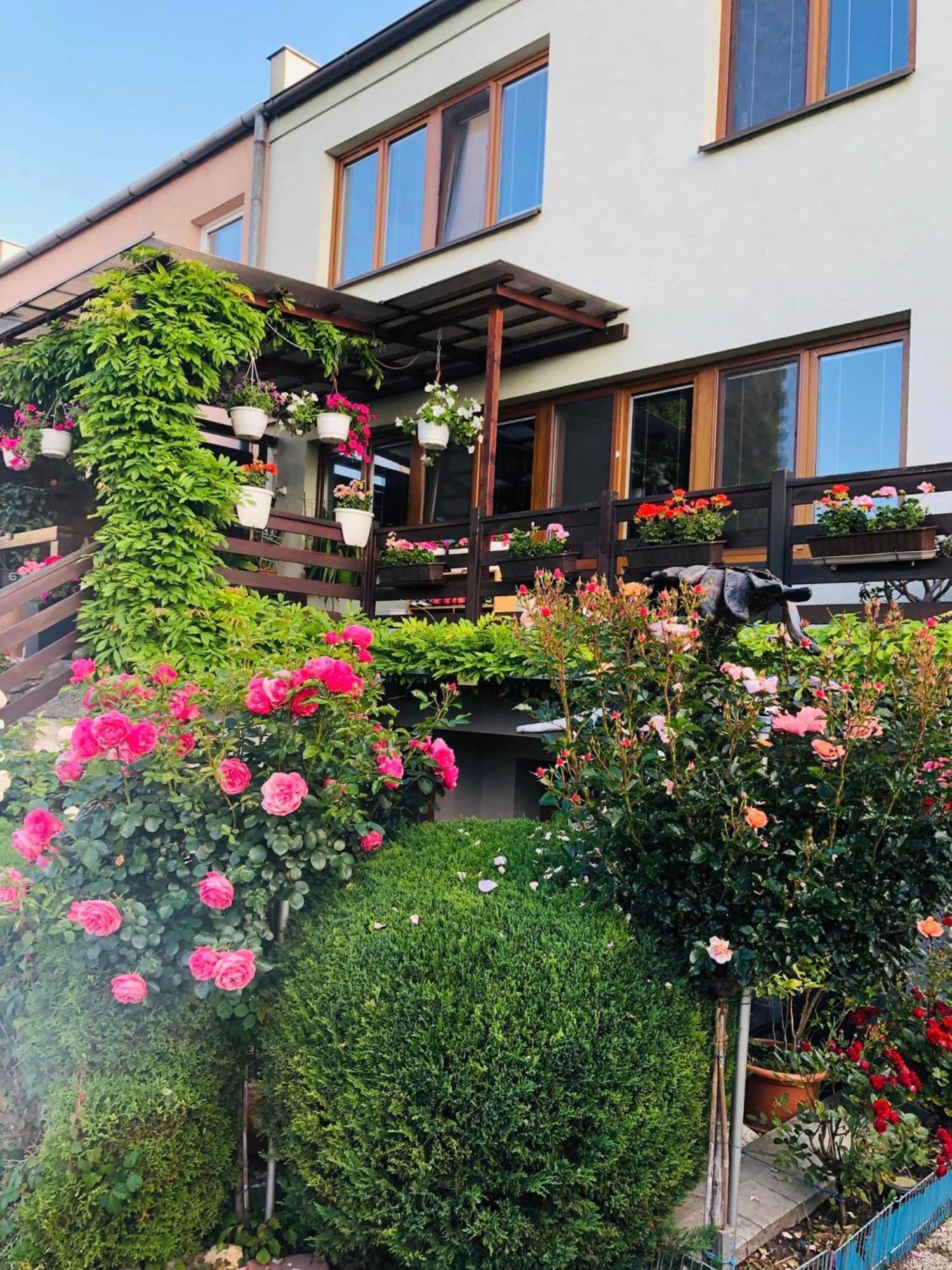 Ubytovani Na Hrazi 91 Znojmo Exterior foto